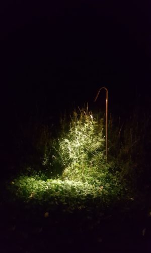 Copper Garden Light Copper Garden Light