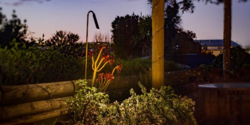 Garden Spike - Side View at Sunset